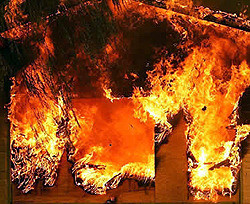 В Черкассах случился пожар в здании академии аграрных наук 